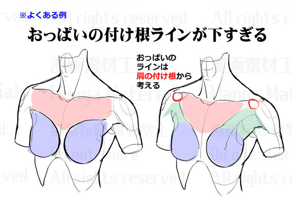 胸周りの描き方 違和感と修正法 Pixiv年鑑 B