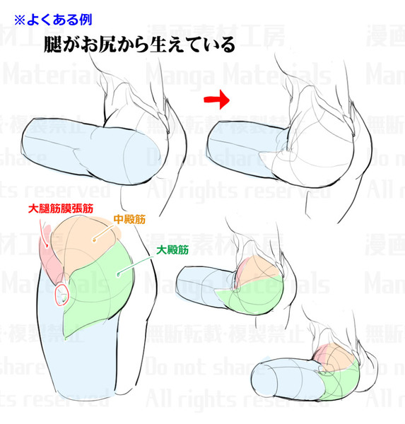 尻股間周りの描き方 違和感と修正法 Pixiv年鑑 B