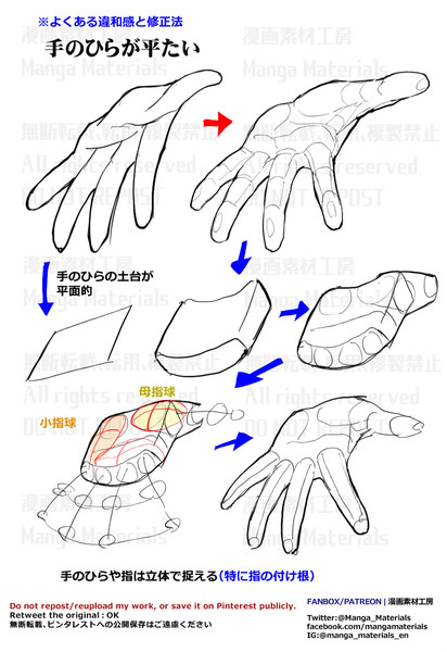 個人メモ：手のひらの土台と立体