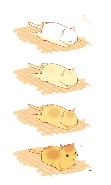 こんがりねこ