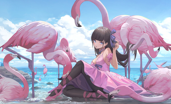 Flamingo