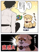 【FGO】南溟弓張八犬伝