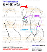 個人メモ：骨盤と腰周りの肉感