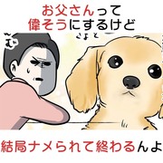 お父さんって偉そうにするけど結局ナメられて終わるんよ