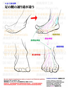 個人メモ：足の腱