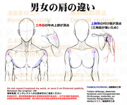 個人メモ：肩の基本構造