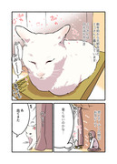 白い猫と暮らしている漫画⑤