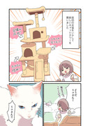 白い猫と暮らしている漫画⑧