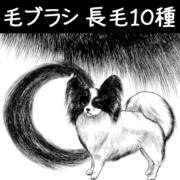 毛ブラシ_長毛10種