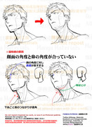 個人メモ：アオリの顔（鼻）