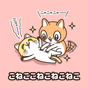 こねこ