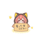 ぴっかぴかのあかりちゃん🐱💫