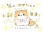 愛猫ぽぽちゃんのお誕生日！！