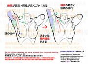 個人メモ：可動によるワキ周りの立体変化