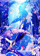 桜の滝登り-青陽-
