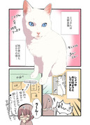 白い猫と暮らしている漫画⑨【Kindle本出たよ】