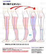 個人メモ：脚の骨格と軸