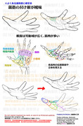 個人メモ：親指の付け根（開いた手）