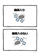 no.2036 『 梅雨入り 』