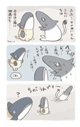 サメキメラの集い