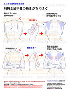 個人メモ：肩腕可動時の肩甲骨の動き