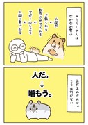 ハムスター1p漫画まとめ