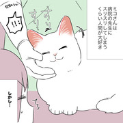 猫の嫌いなものがわかるようでわからん話