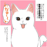 甘えんぼ猫が本領発揮してきた話