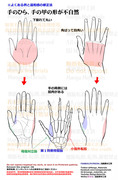 個人メモ：手の基本の形