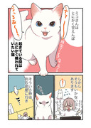 甘えんぼ猫が甘えられない時の話