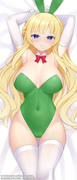 Vert ベール Dakimakura Oct 2023 A