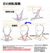 個人メモ：首の回転可動