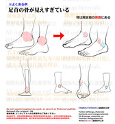 個人メモ：足首の骨