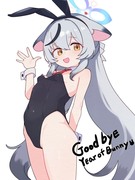 Black bunny kokona