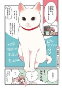 【愛されたがりの白猫ミコさん】甘えんぼ過ぎてヤンデレ気味な猫の話