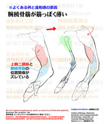 個人メモ：腕可動時の筋肉と骨の動き