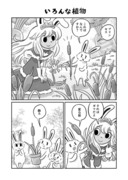 いろんな植物