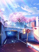 屋上桜化