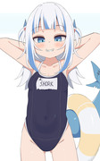 shork_swimsuit