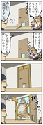 猫ドア虎ドア。