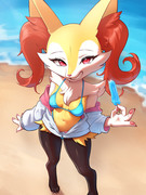 braixen at the beach