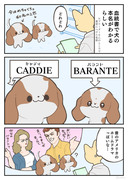 犬の本名