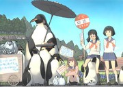 ペンギンと女子高生