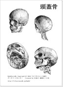 BodyParts3D骨格模写