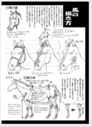 馬の描き方その１（簡易版）