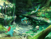 The Water Starters