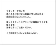 【ヘタリア腐】自分ちのメイドに女装させられるスペイン