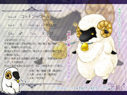 【ぴく羊】コットン＝ウール【ヒツジ】