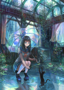 梅雨の一時