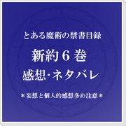 ★新約６巻感想★【禁書】
